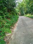 山间小路