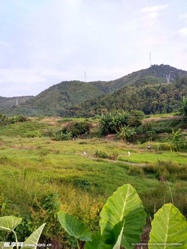 山川田野