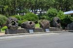 公路边的风光