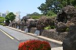济州岛公路边
