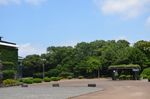 停车坪