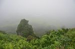 济州岛的早晨