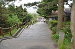 园林