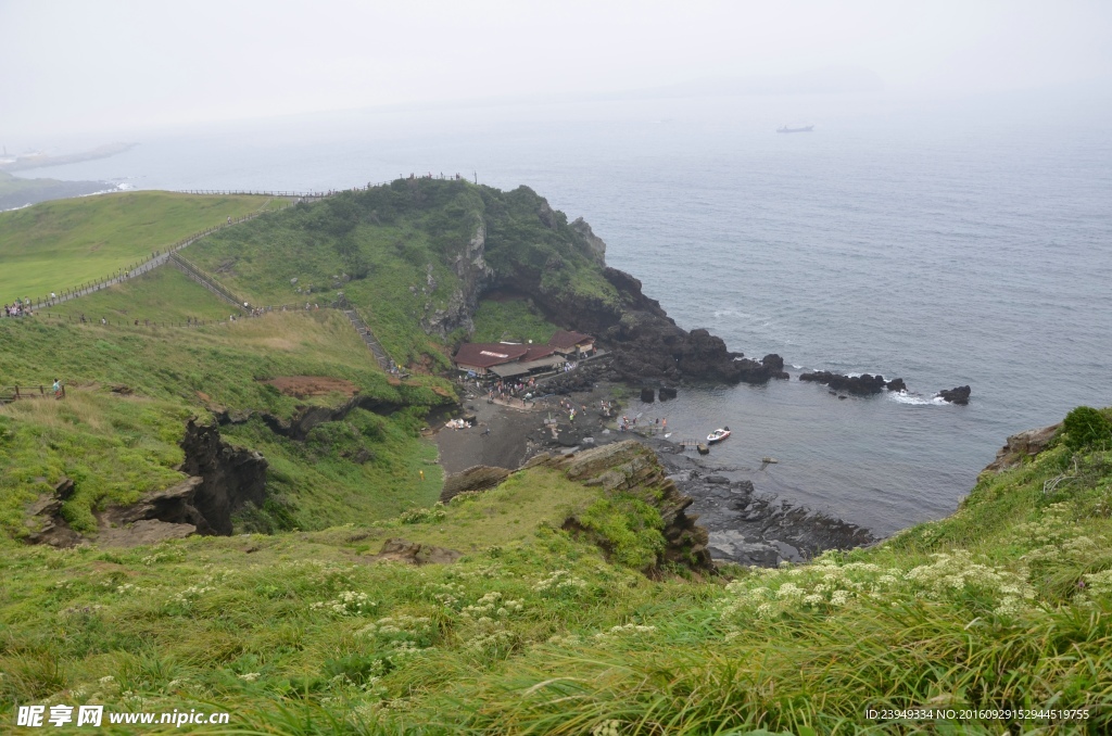 海边草坪