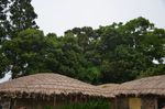 亭台楼阁