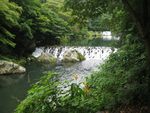 绿色山水