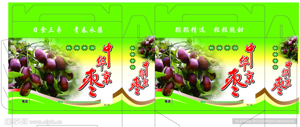 中华京枣