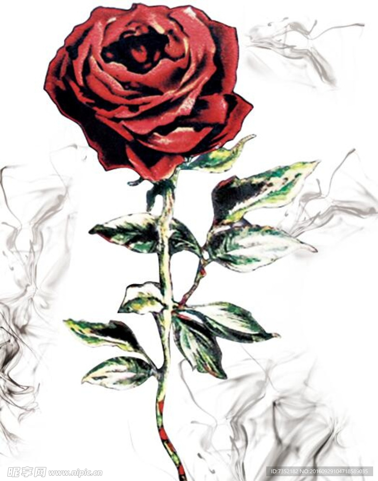 玫瑰花 油画 手绘 卡通