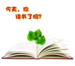 书