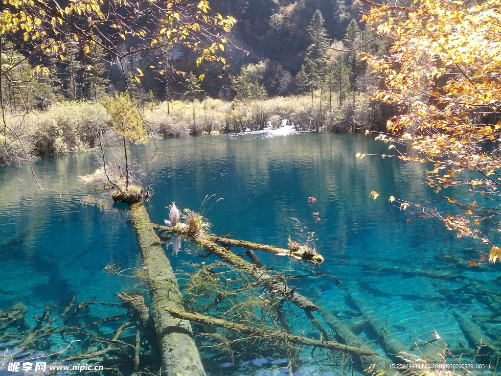 九寨沟风光