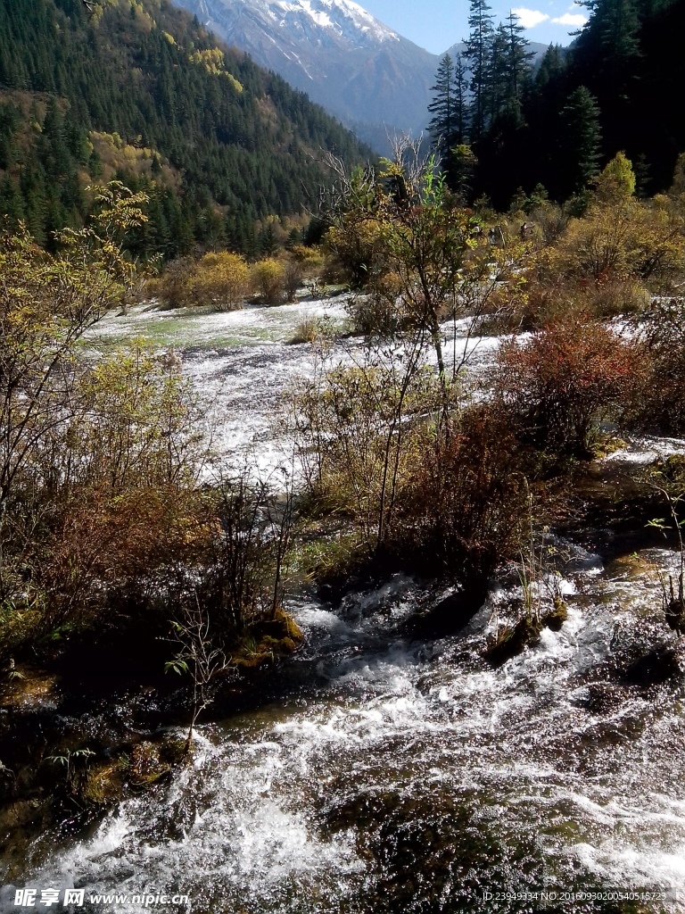 山水