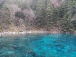 奇特景观