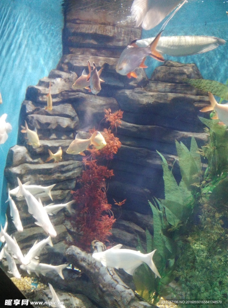 海洋馆