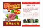 生态野猪肉宣传海报