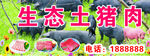 生态土猪招牌