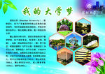 我的大学梦