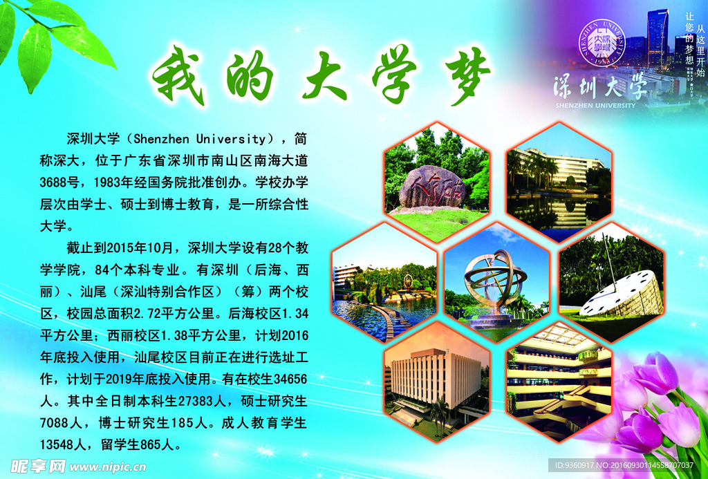 我的大学梦