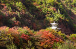 秦岭秋色