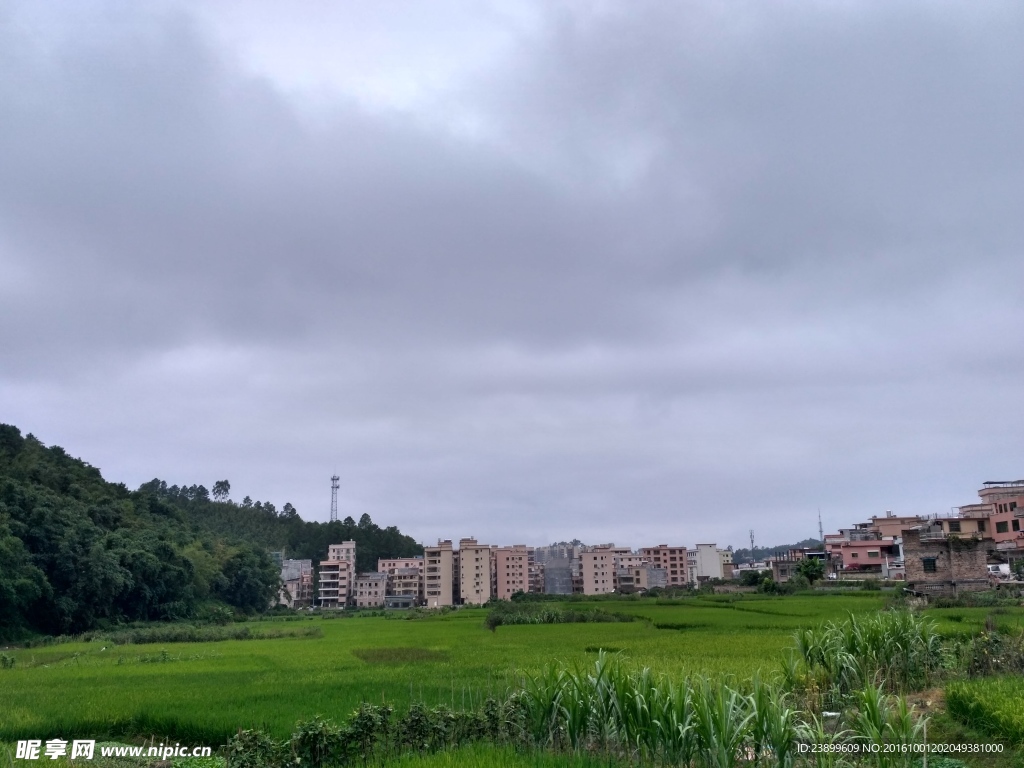 阴天的田野