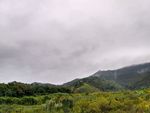 阴雨天的田野