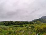 多云天的田野