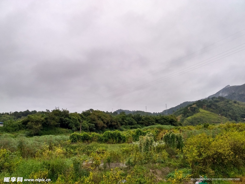 多云天的田野