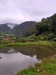山川鱼塘