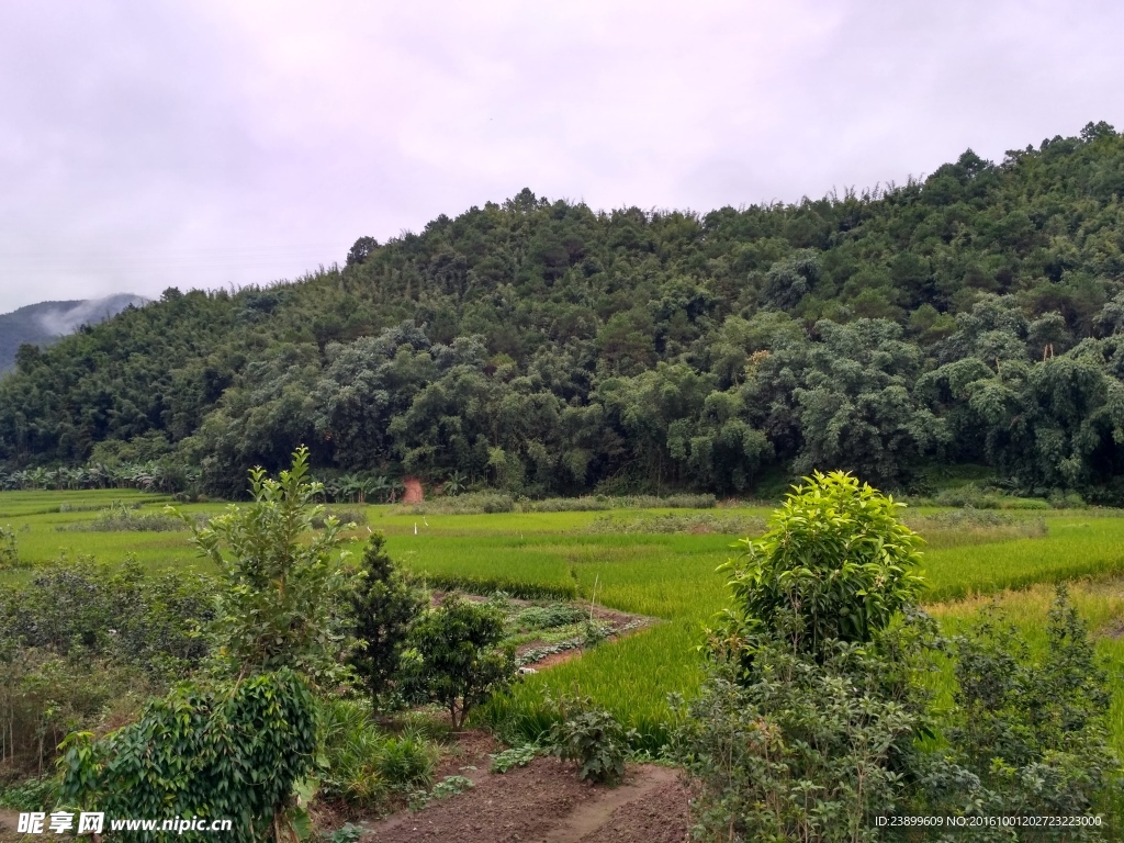 山川田野