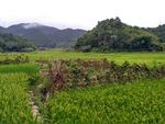 山川田野