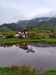 山川鱼塘