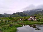 山川鱼塘