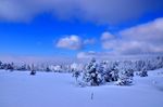 冰天雪地