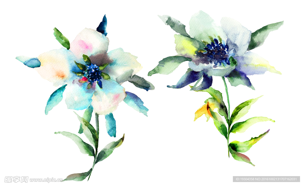 两束水粉花