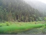 湿地