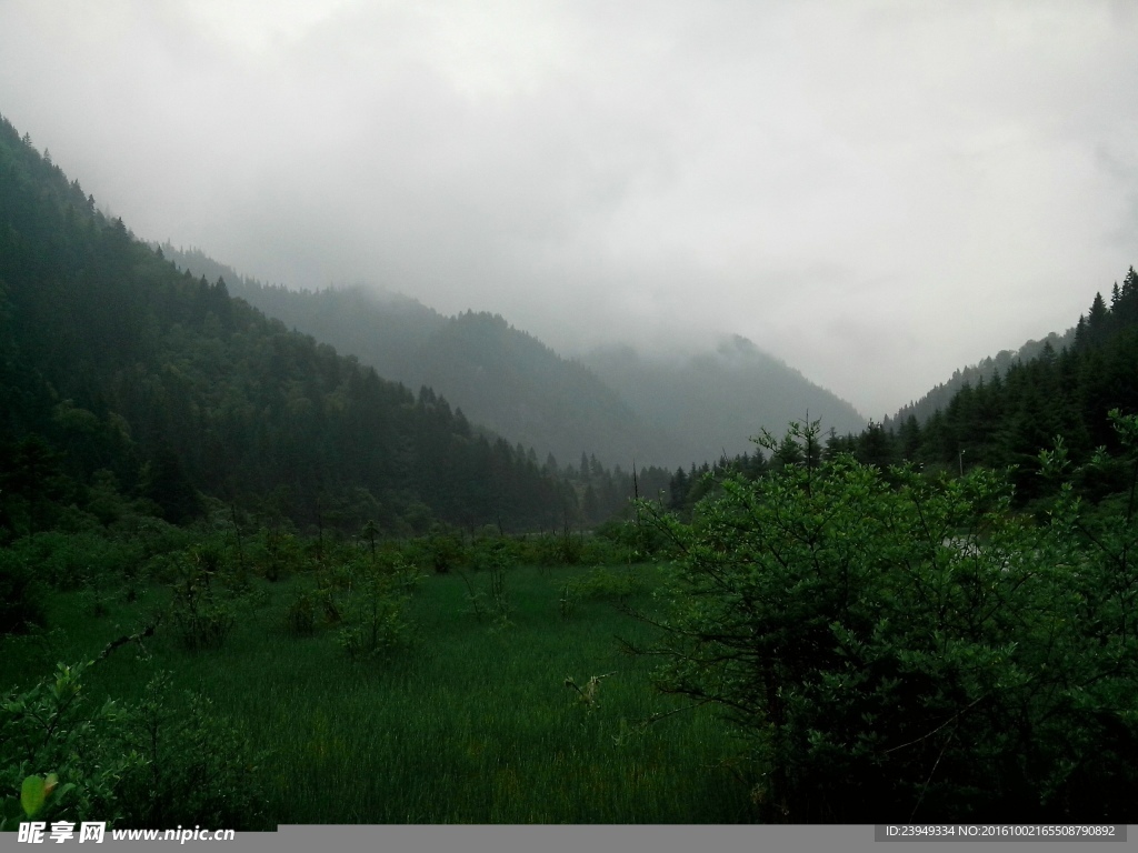 雨中的风景