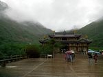 雨中情