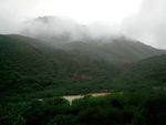 雨中情