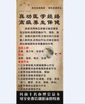 医学经络