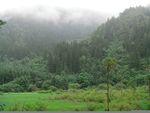 湿地山水