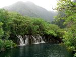 真正的青山绿水