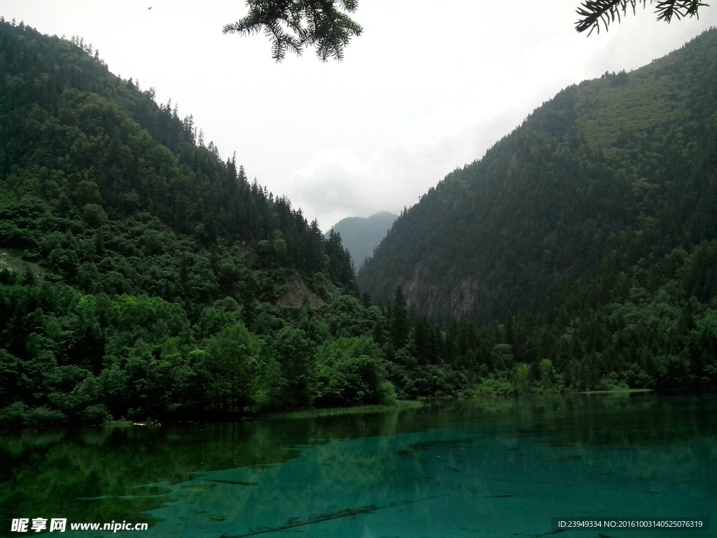 青山绿水