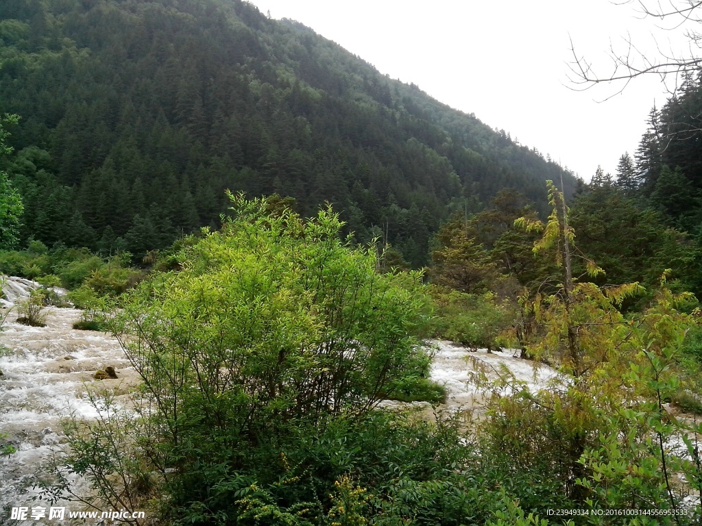 山水