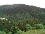 青青的山