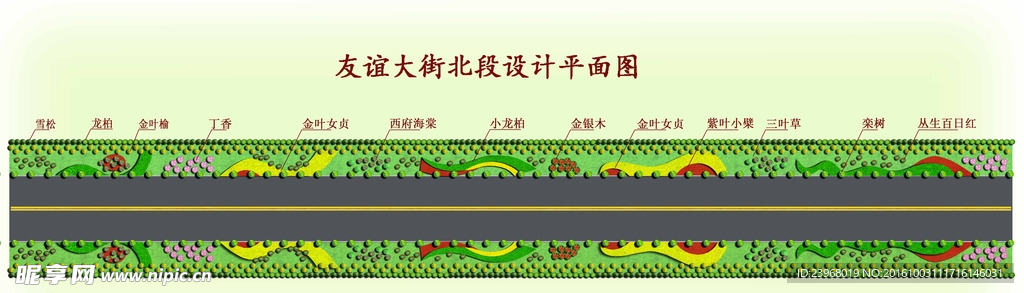 道路绿化大样图