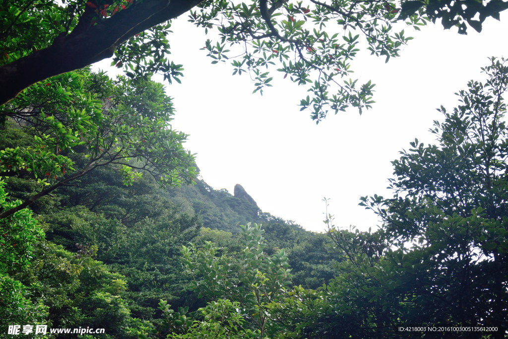 银瓶山