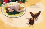 鲜鸡肉