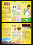 权健三折页