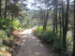 嵩北森林公园一景