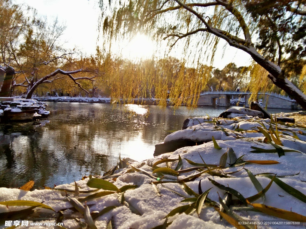 颐和雪景