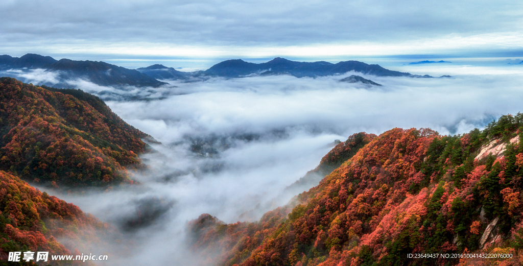 秋山景观